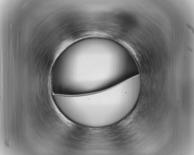 X0000094231391200710261005