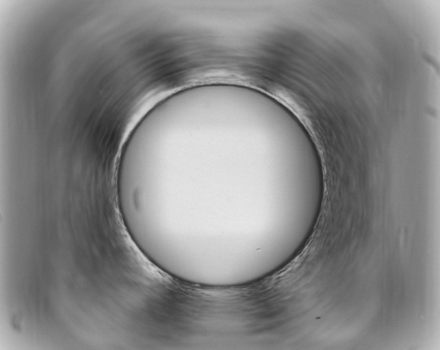 X0000094231392200710261005