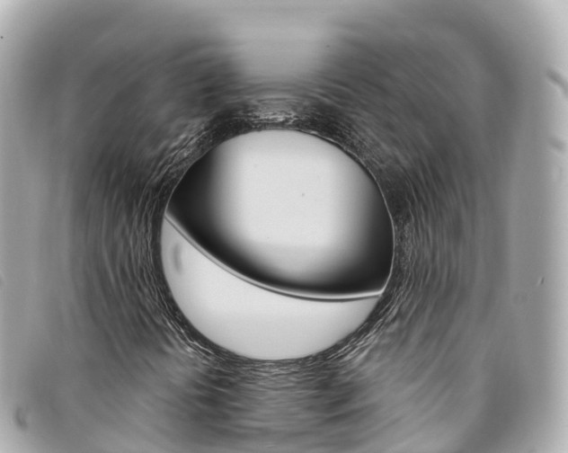 X0000094231394200710261004