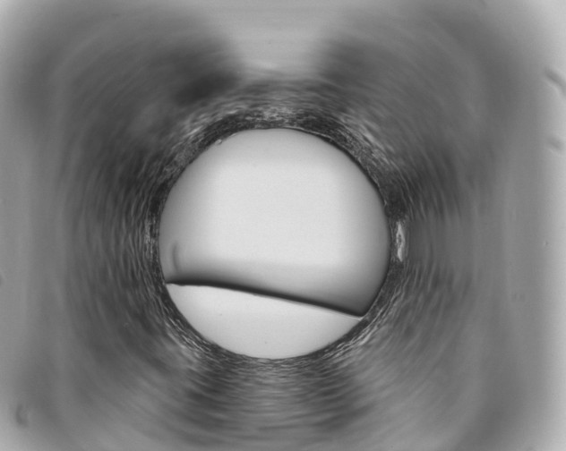 X0000094231395200710261004