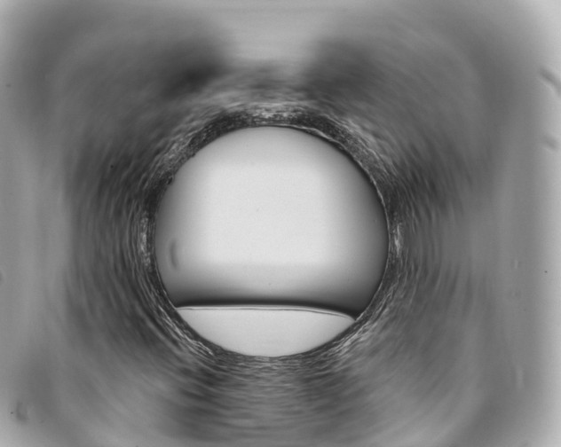 X0000094231396200710261004