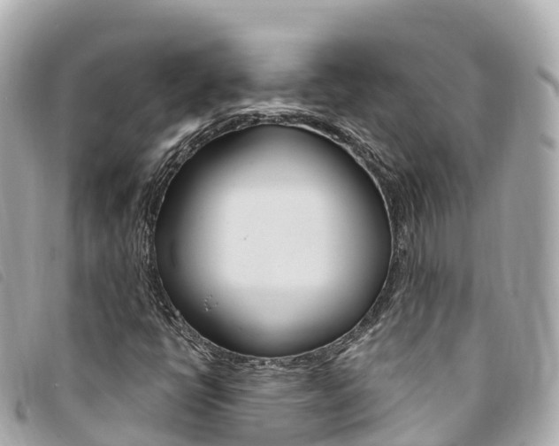 X0000094231398200710261004