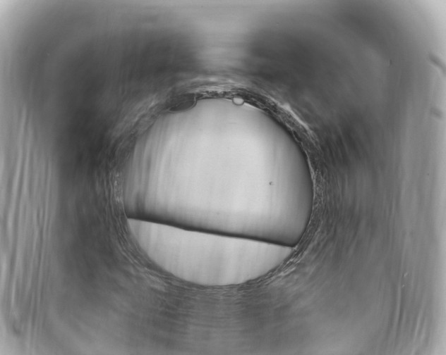 X0000094231399200710261004