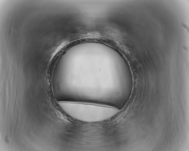 X0000094231400200710261004