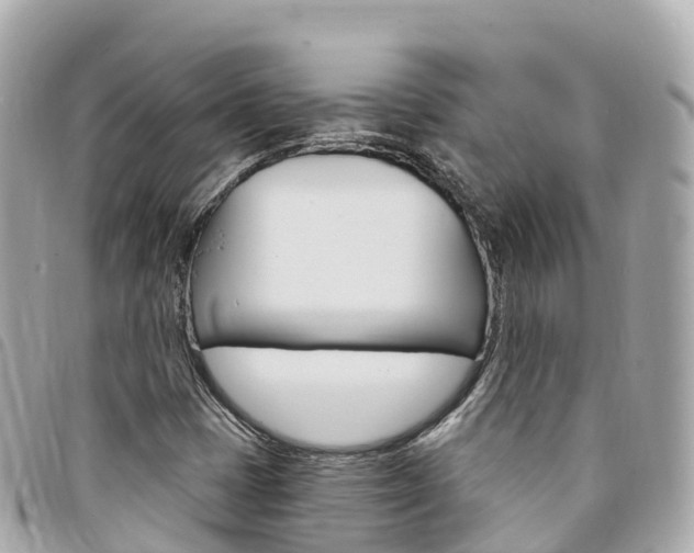 X0000094231401200710261004