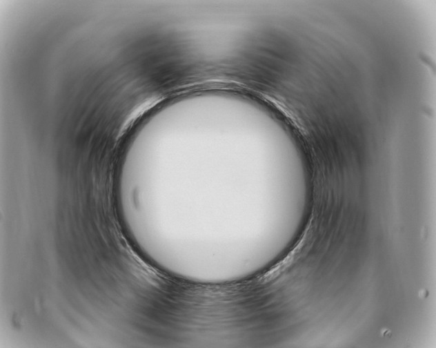 X0000094231402200710261004
