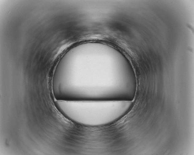 X0000094231404200710261004