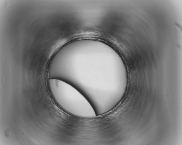 X0000094231405200710261004