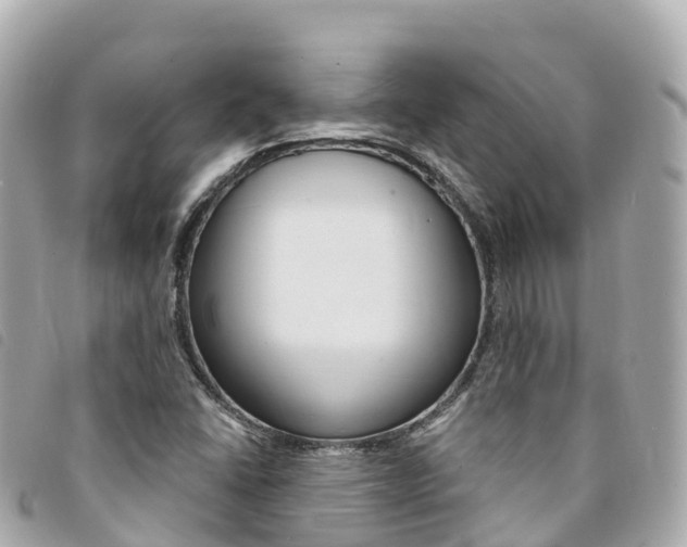 X0000094231406200710261004