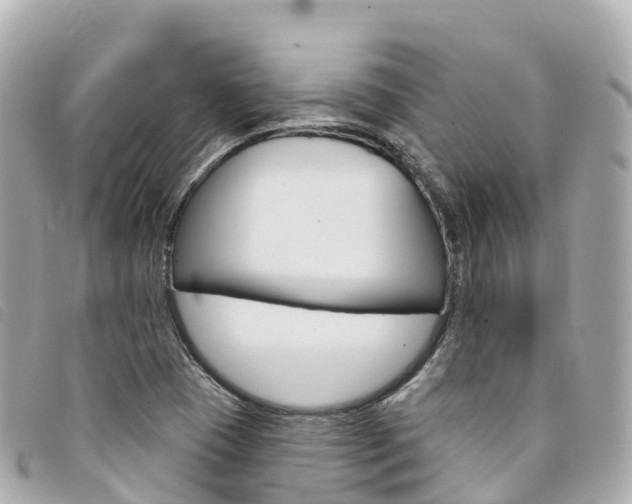X0000094231409200710261004