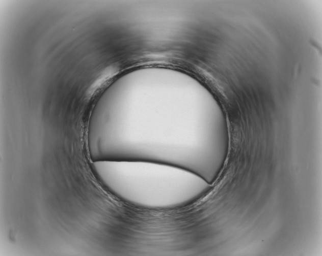 X0000094231411200710261004