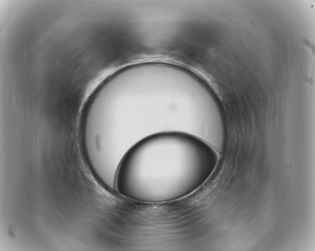 X0000094231414200710261004