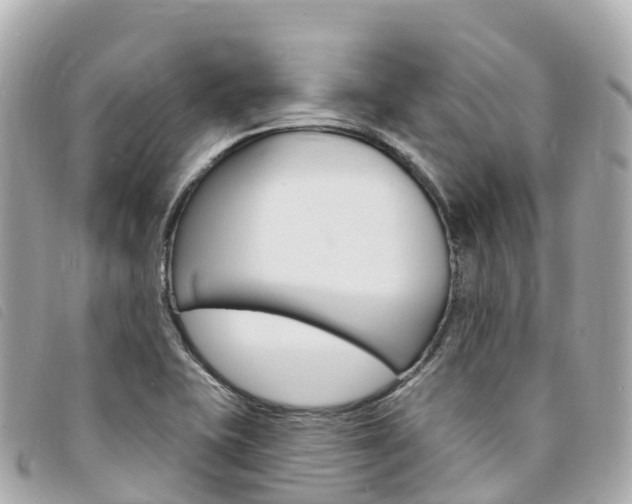 X0000094231415200710261004