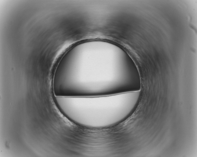 X0000094231416200710261004