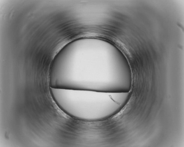 X0000094231417200710261004