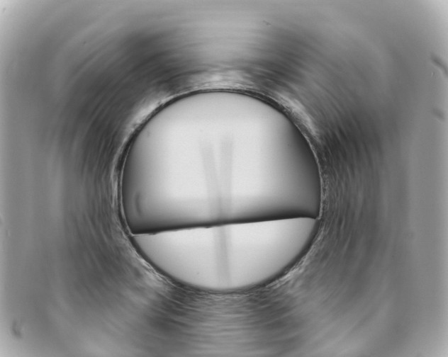 X0000094231419200710261004