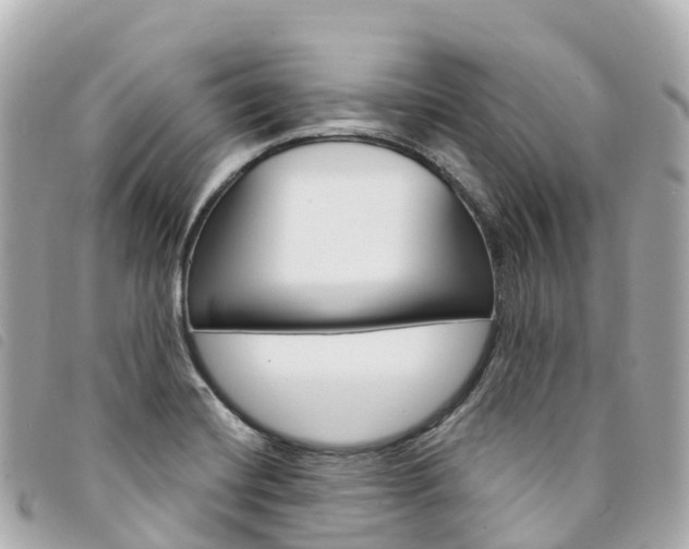 X0000094231420200710261004