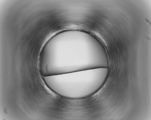 X0000094231421200710261004