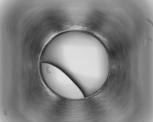 X0000094231423200710261004