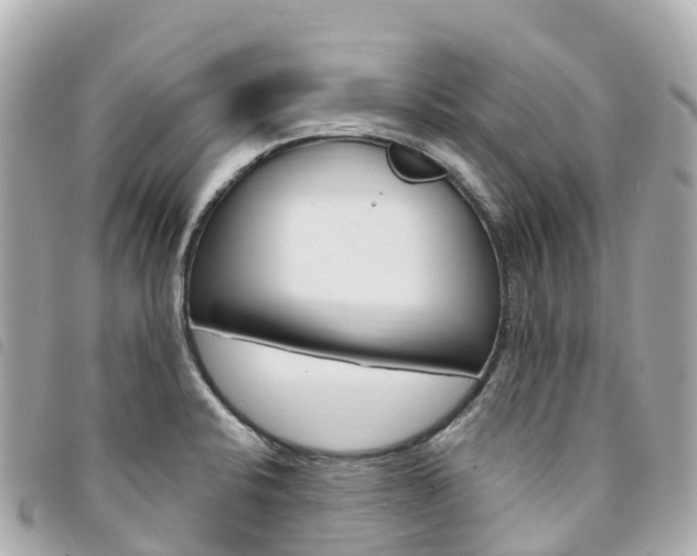 X0000094231424200710261004