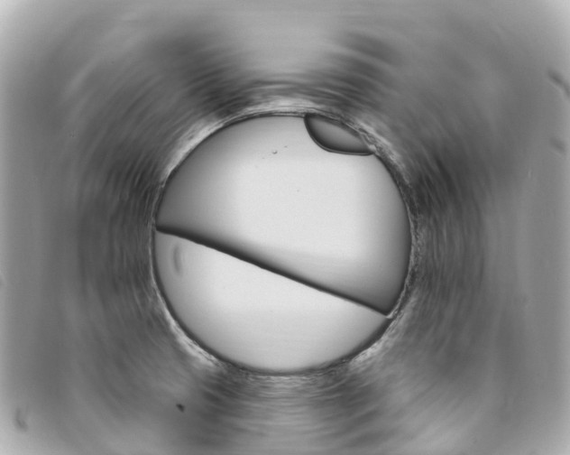 X0000094231425200710261004