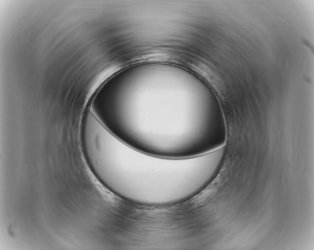 X0000094231426200710261004