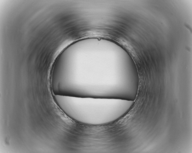 X0000094231427200710261004