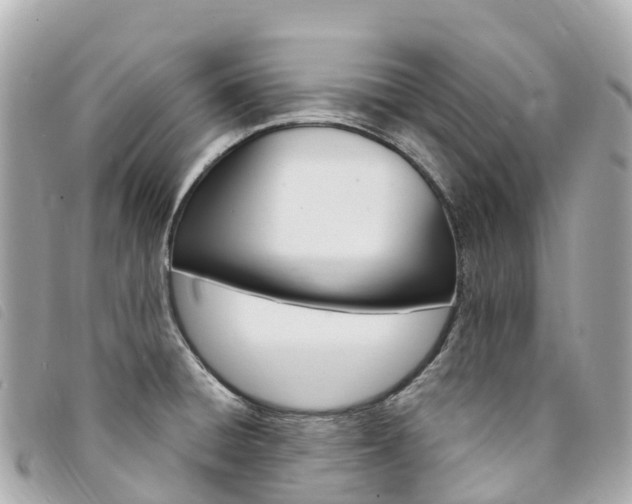 X0000094231428200710261004