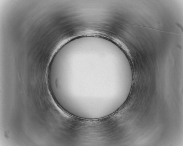 X0000094231429200710261004