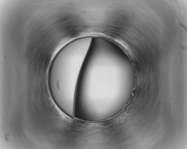 X0000094231430200710261004