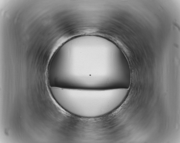 X0000094231432200710261004