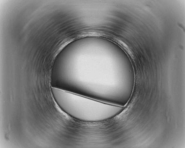 X0000094231433200710261004