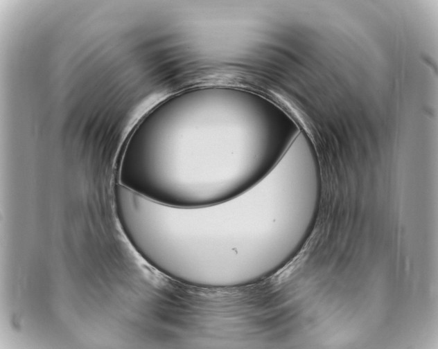 X0000094231434200710261004