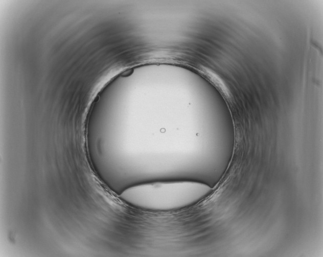 X0000094231435200710261005