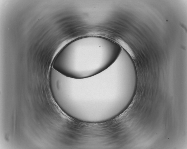 X0000094231436200710261005