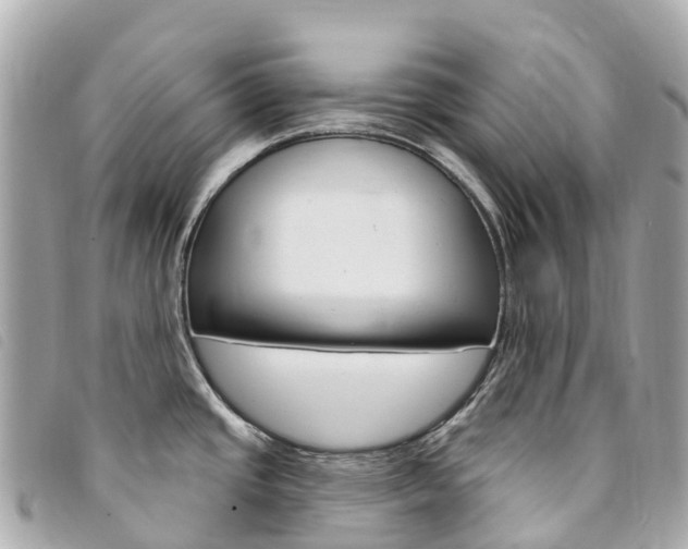 X0000094231437200710261005