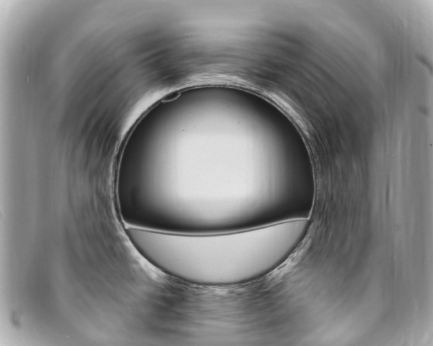 X0000094231438200710261005