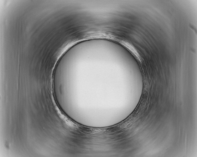 X0000094231439200710261005