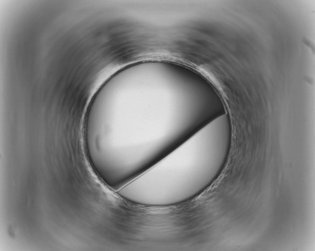 X0000094231440200710261005