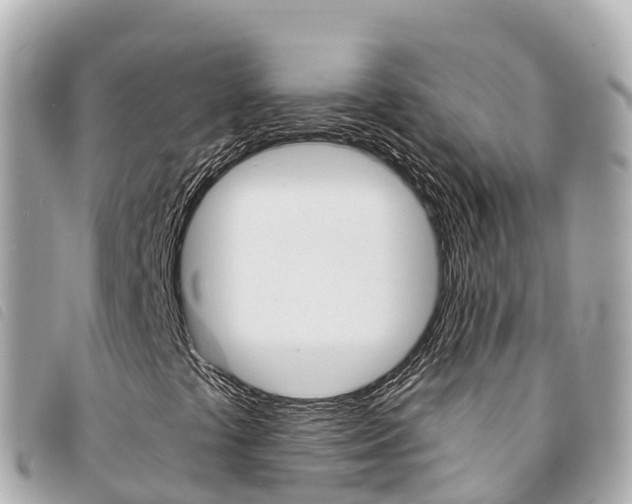 X0000094231441200710261004