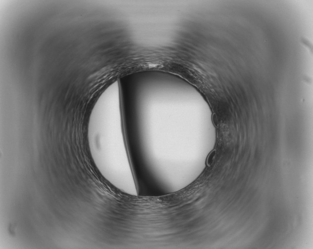 X0000094231442200710261004