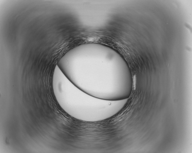 X0000094231443200710261004