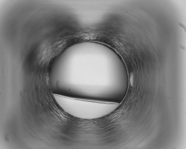 X0000094231444200710261004