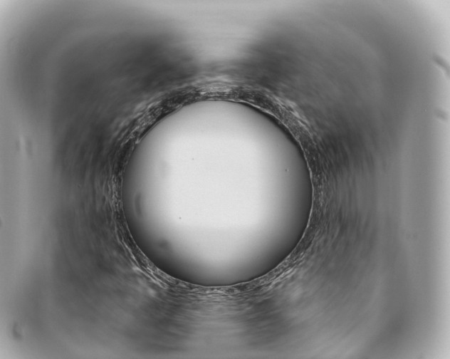 X0000094231445200710261004