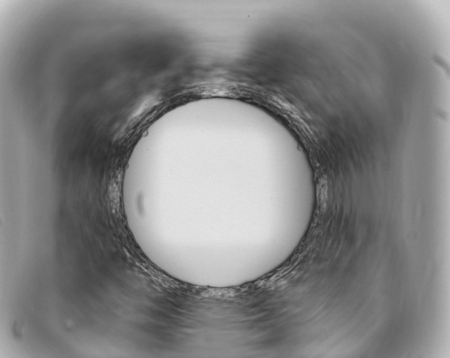 X0000094231446200710261004