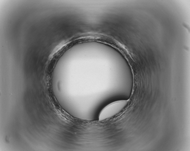 X0000094231448200710261004