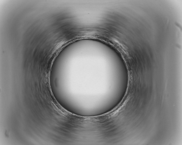 X0000094231449200710261004