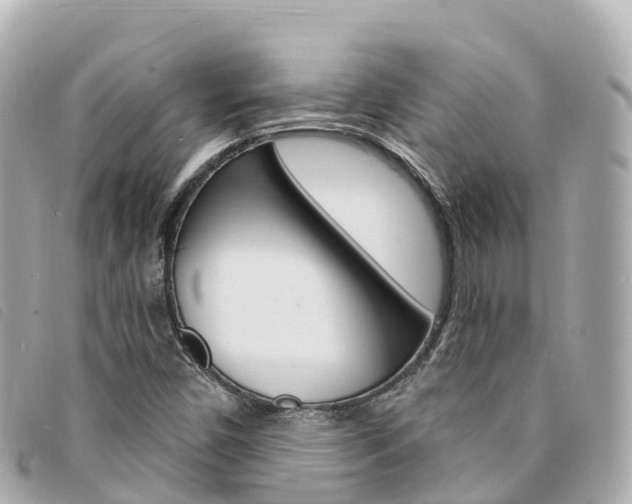 X0000094231450200710261004