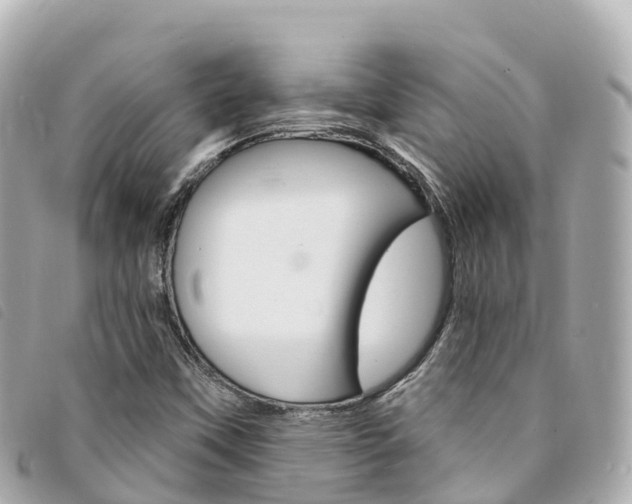 X0000094231451200710261004