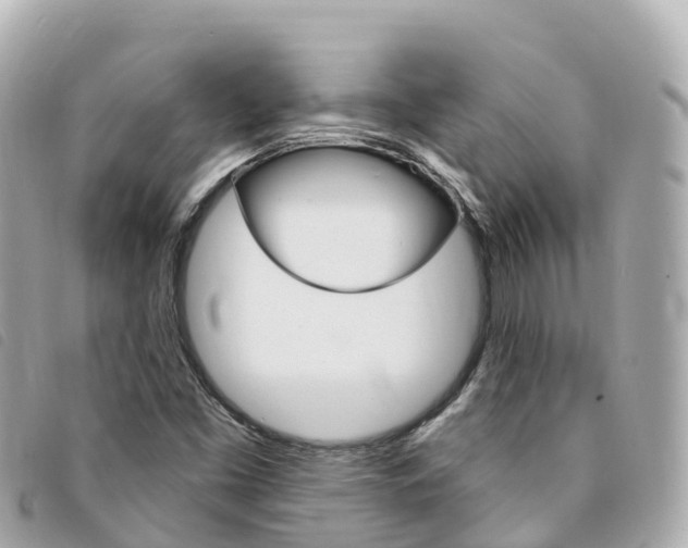 X0000094231453200710261004